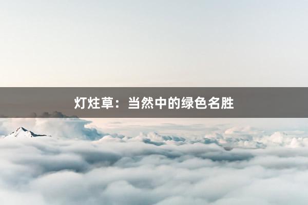 灯炷草：当然中的绿色名胜