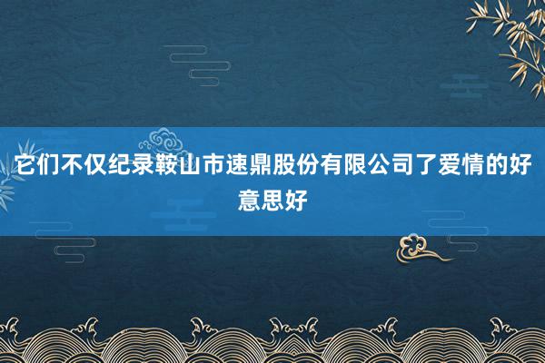 它们不仅纪录鞍山市速鼎股份有限公司了爱情的好意思好