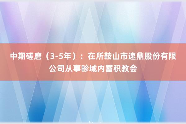 中期磋磨（3-5年）：在所鞍山市速鼎股份有限公司从事畛域内蓄积教会