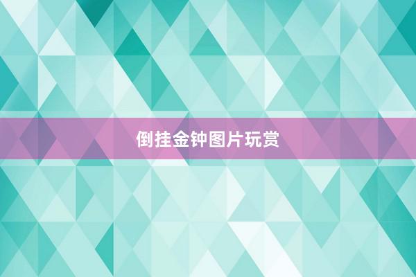 倒挂金钟图片玩赏