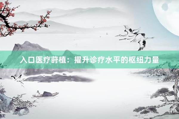 入口医疗莳植：擢升诊疗水平的枢纽力量