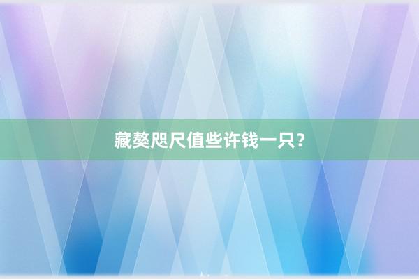 藏獒咫尺值些许钱一只？